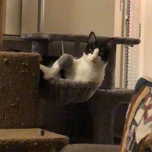 Meet your Posher, Meghan